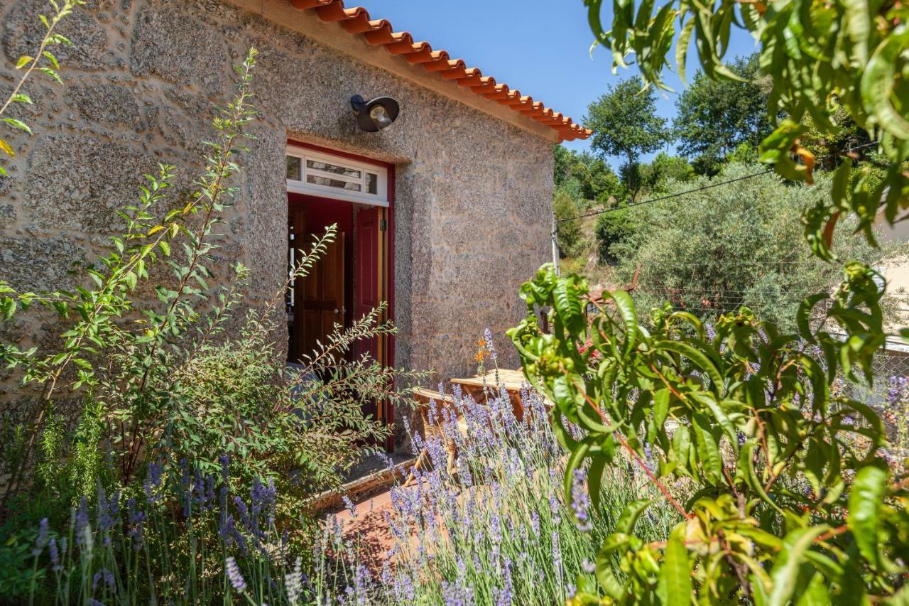 Casa Do Eido - Sustainable Living & Nature Experiences 제어스 외부 사진